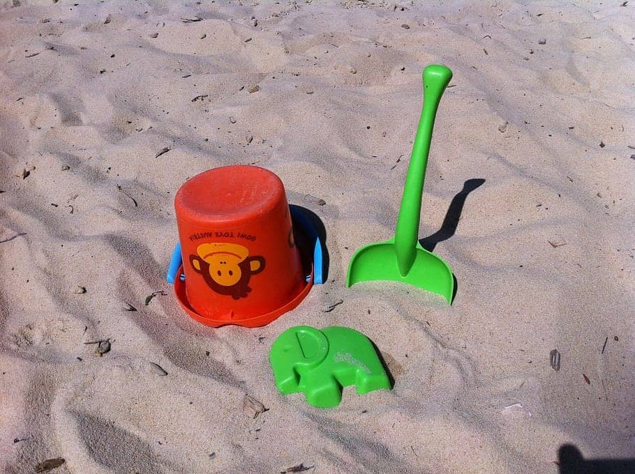 Vamos a la playa pero dejemos a los moradores en su hábitat
